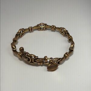 Alex and Ani Brass Vintage Bracelet with Interlocking Links and Charm